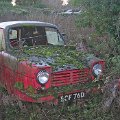 mini-DSCN6819