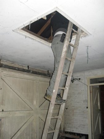 Ladder