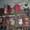 mini-DSCN6172