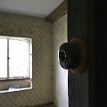 mini-DSC_4099