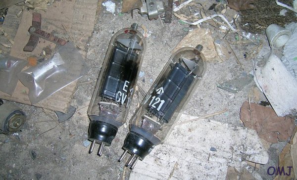 mini-24