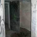 10151026529671672